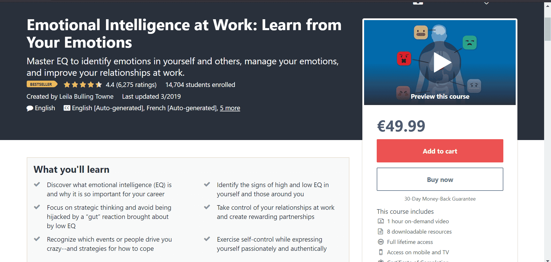 udemy course description page