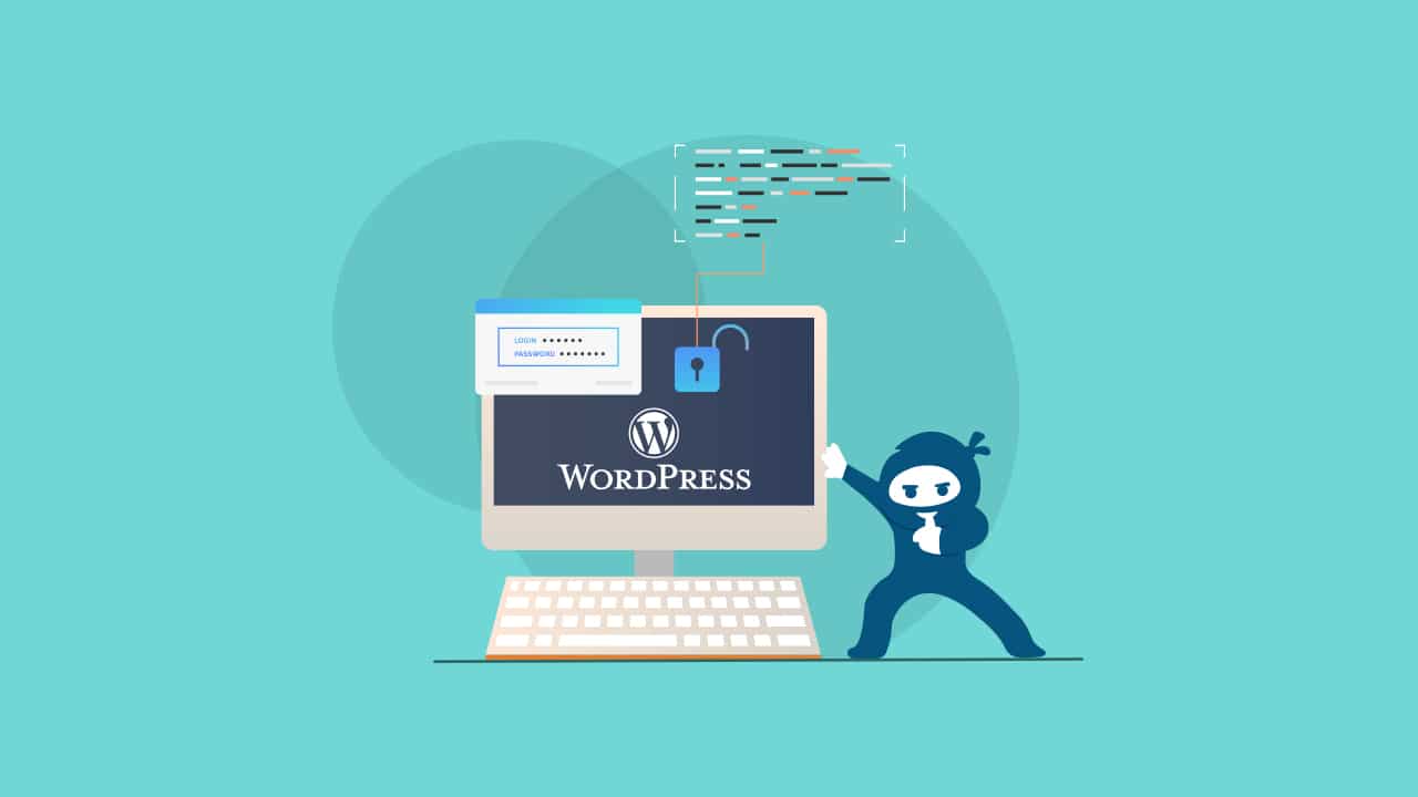 wordpress access